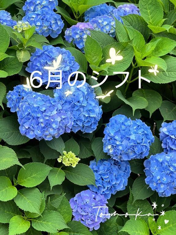 【6月のシフト】決まりました٩(ˊᗜˋ*)و｜写メ日記｜ともか｜新宿 人妻デリヘル 熟女の風俗最終章 新宿店