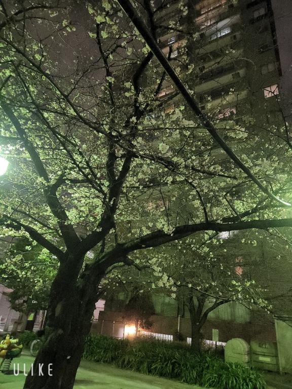 ぽかぽか☀️｜写メ日記｜なみ｜新宿 人妻デリヘル 熟女の風俗最終章 新宿店
