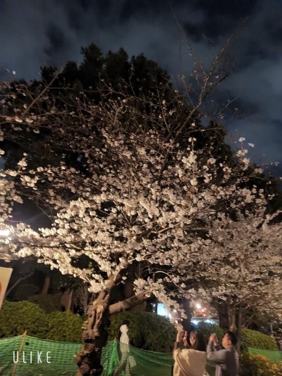 31日月曜日｜写メ日記｜なみ｜新宿 人妻デリヘル 熟女の風俗最終章 新宿店