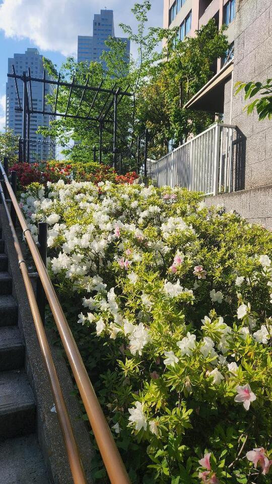 今週の予定です🎵｜写メ日記｜なみ｜新宿 人妻デリヘル 熟女の風俗最終章 新宿店