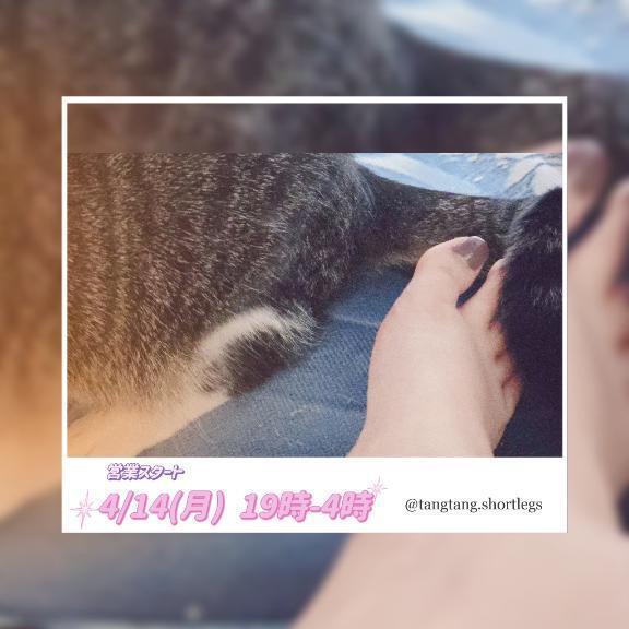 足下に何か…居る…ッ！｜写メ日記｜せつな｜新宿 人妻デリヘル 熟女の風俗最終章 新宿店