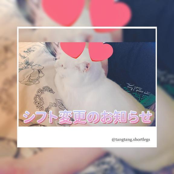 シフト変更のお知らせ🙇🏻‍♀️‪‪💦｜写メ日記｜せつな｜新宿 人妻デリヘル 熟女の風俗最終章 新宿店