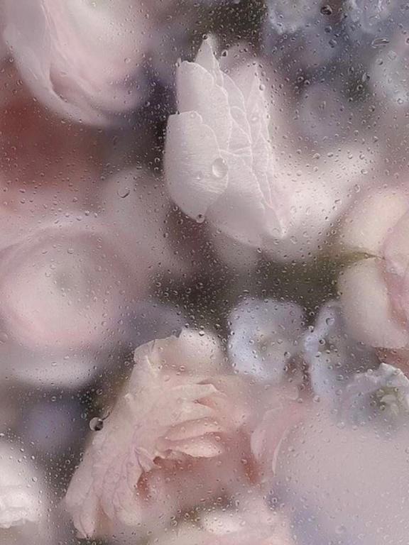 楽しみです｜写メ日記｜奈緒【なお】｜新宿 高級デリヘル クラブ ブレンダ新宿・歌舞伎町店