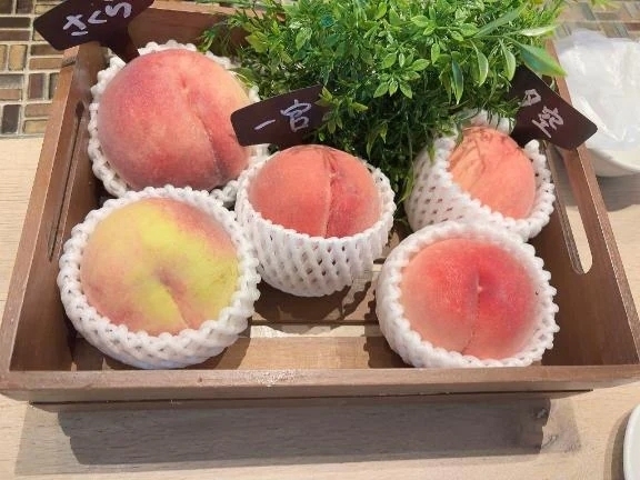 🌸｜写メ日記｜鳳めめ｜新宿 高級デリヘル クラブ ブレンダ新宿・歌舞伎町店
