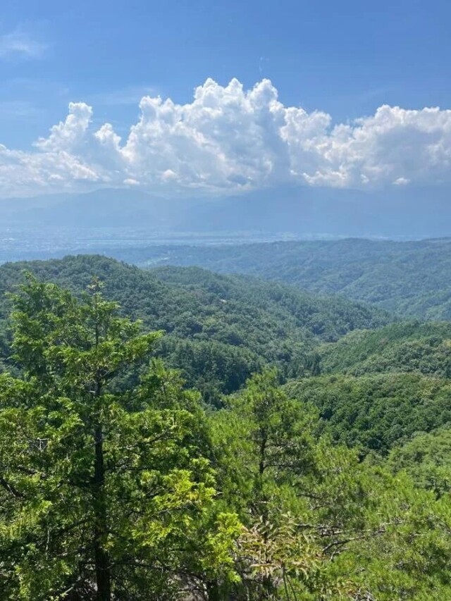お久しぶりです｜写メ日記｜柏木｜池袋 一般デリヘル おとなのわいせつ倶楽部 池袋店