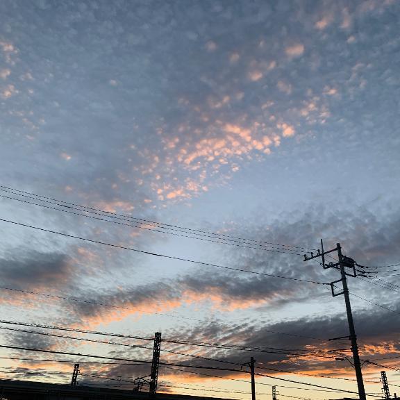 このあと❤️｜写メ日記｜藤原｜池袋 一般デリヘル おとなのわいせつ倶楽部 池袋店