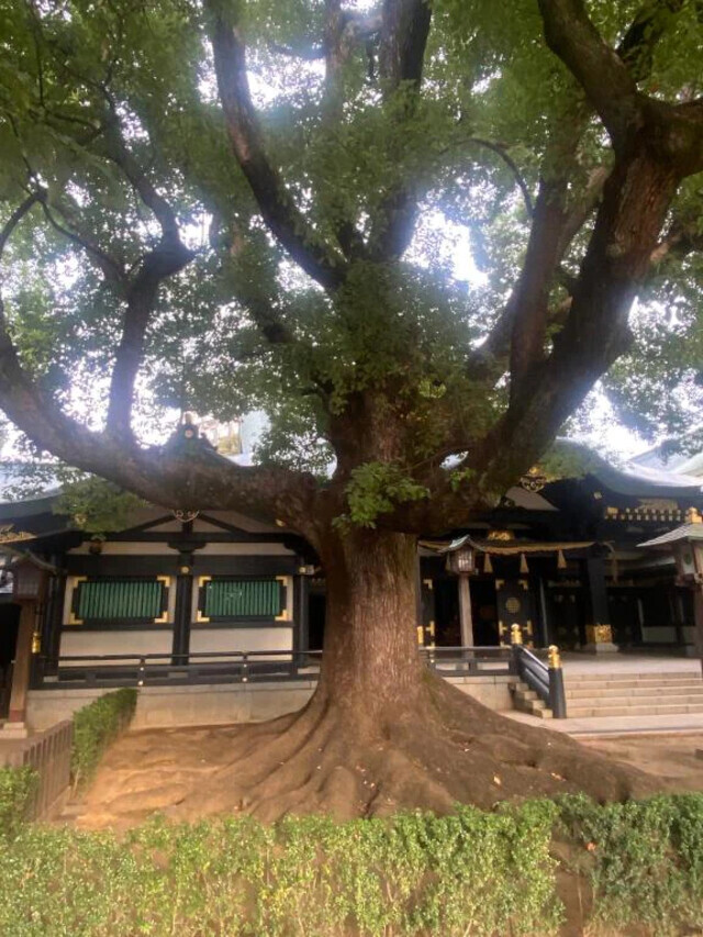 18日｜写メ日記｜東宮｜池袋 一般デリヘル おとなのわいせつ倶楽部 池袋店