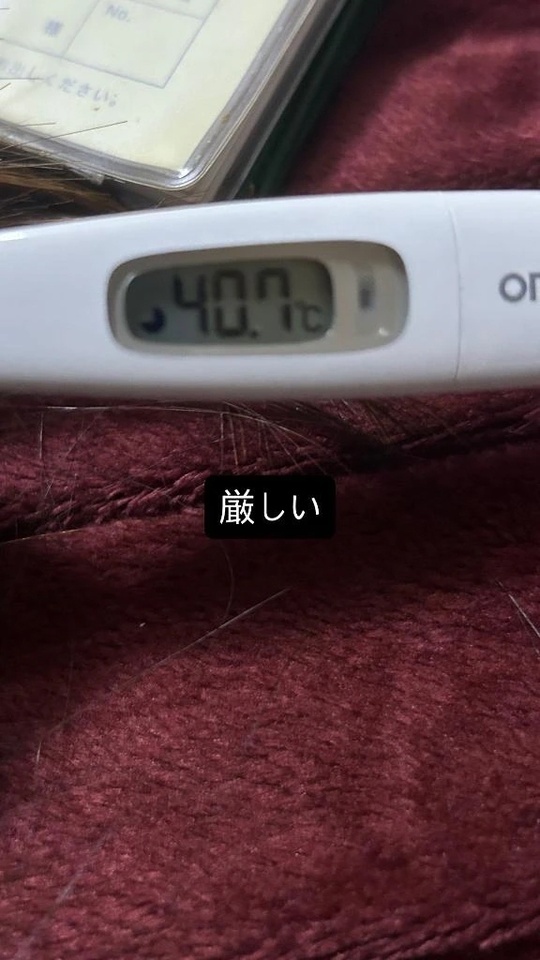 インフルから復帰までのお知らせ｜写メ日記｜芽衣｜池袋 一般デリヘル おとなのわいせつ倶楽部 池袋店