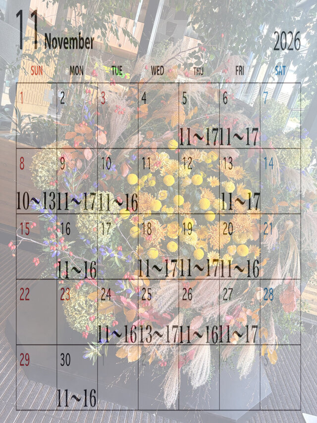 11月の予定…💞