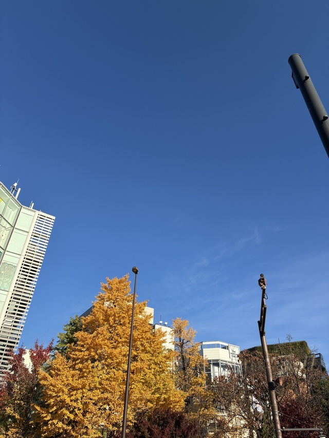 自分へのご褒美。｜写メ日記｜敦子｜鶯谷 人妻デリヘル クラブルージュ