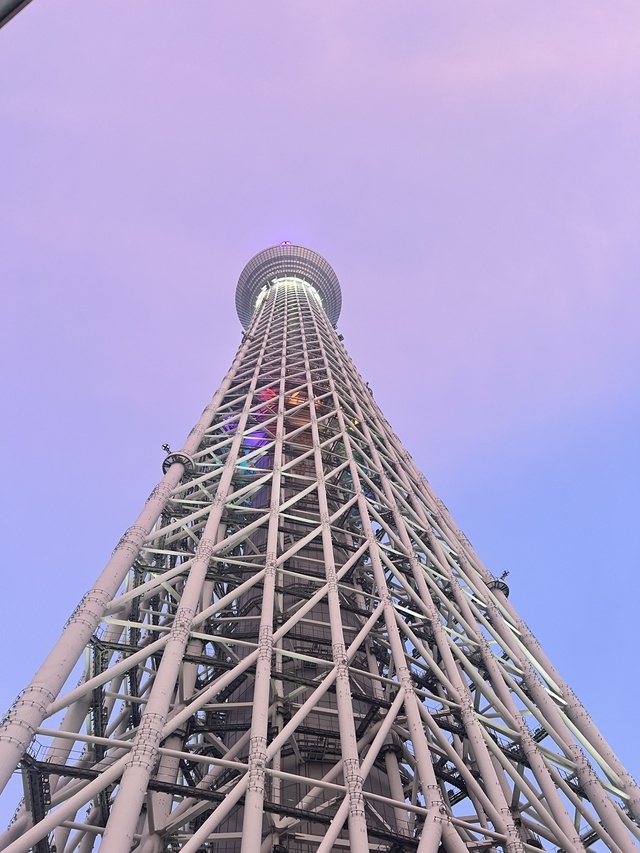 お久しぶりです