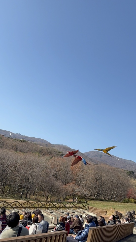 見たかった景色|写メ日記|優子|鶯谷 人妻デリヘル クラブルージュ