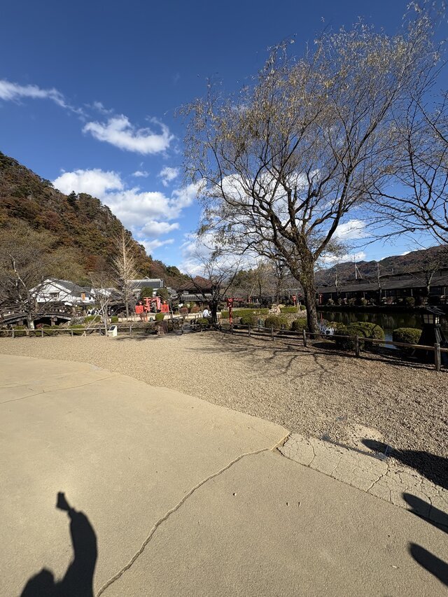 ご挨拶遅れました｜写メ日記｜優子｜鶯谷 人妻デリヘル クラブルージュ