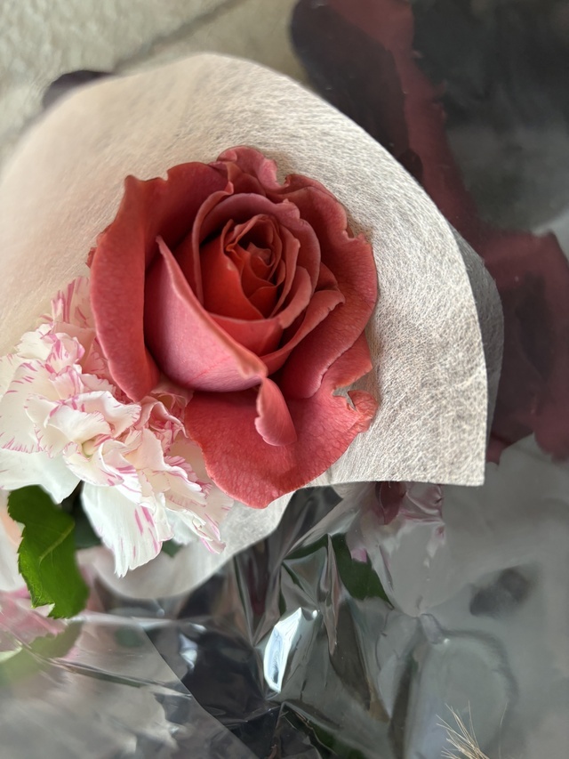 春はお花｜写メ日記｜優子｜鶯谷 人妻デリヘル クラブルージュ