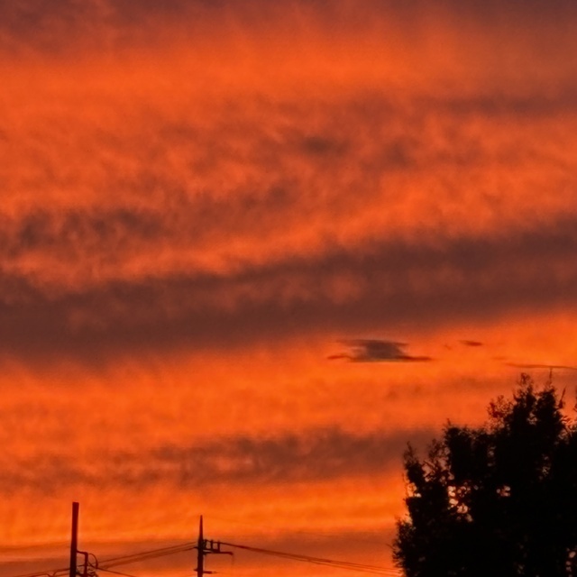 夕焼け｜写メ日記｜亜希｜鶯谷 人妻デリヘル クラブルージュ
