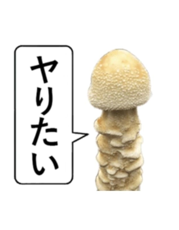 れいこです。｜写メ日記｜れいこ｜立川・八王子・三多摩 人妻デリヘル 熟女の風俗最終章 立川店