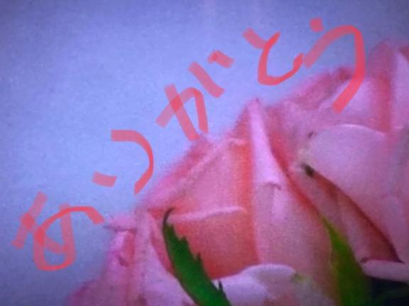 ありがとうございました❣️｜写メ日記｜れん｜立川・八王子・三多摩 人妻デリヘル 熟女の風俗最終章 立川店