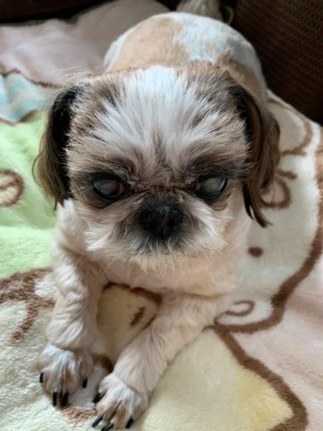 おはようございます🤗｜写メ日記｜れん｜立川・八王子・三多摩 人妻デリヘル 熟女の風俗最終章 立川店