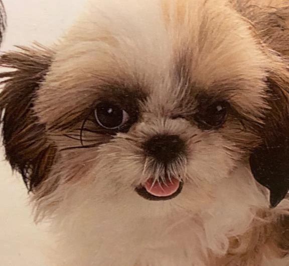 ありがとうございました🩷｜写メ日記｜れん｜立川・八王子・三多摩 人妻デリヘル 熟女の風俗最終章 立川店