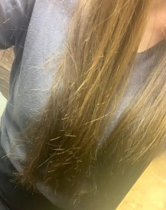快晴の朝っ…☀️｜写メ日記｜れん｜立川・八王子・三多摩 人妻デリヘル 熟女の風俗最終章 立川店