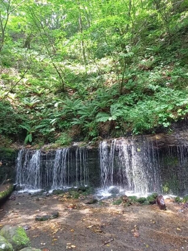おそようございます(*^^*)⋆⸜🧡⸝‍⋆｜写メ日記｜まお｜立川・八王子・三多摩 人妻デリヘル 熟女の風俗最終章 立川店