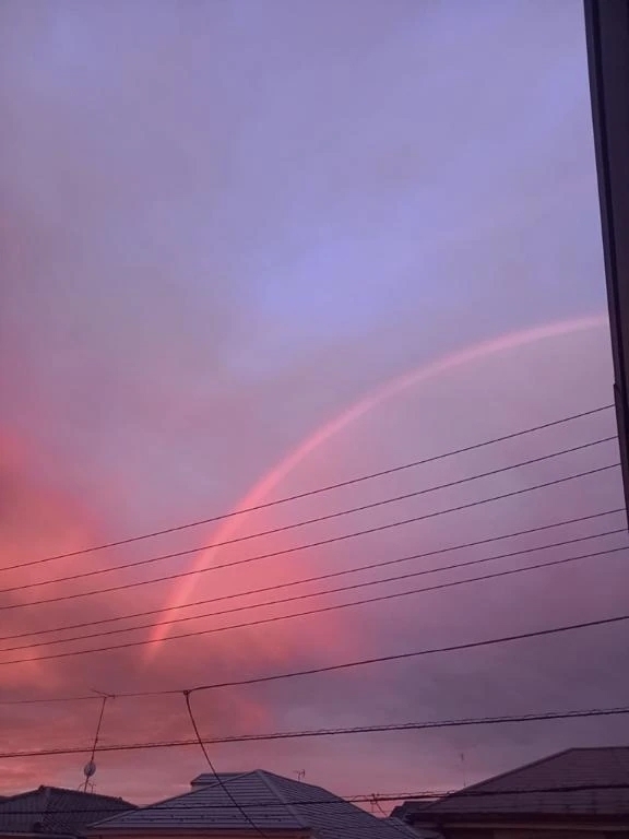 【お礼写メ日記】｜写メ日記｜まお｜立川・八王子・三多摩 人妻デリヘル 熟女の風俗最終章 立川店