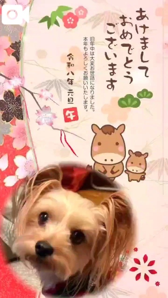 おはよ(*ˊᗜˋ*)/♡😊｜写メ日記｜まお｜立川・八王子・三多摩 人妻デリヘル 熟女の風俗最終章 立川店