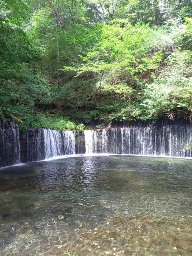 おはよう〜😊｜写メ日記｜まお｜立川・八王子・三多摩 人妻デリヘル 熟女の風俗最終章 立川店