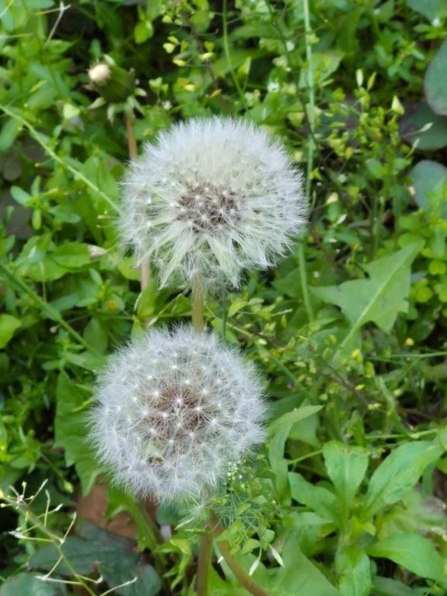 お誘いに感謝m(__)m