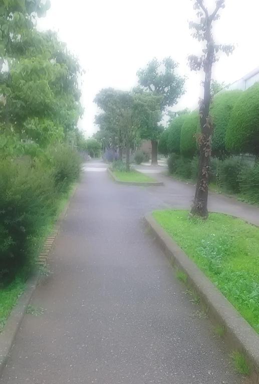 明日、いきます(*^^*)｜写メ日記｜むつみ｜立川・八王子・三多摩 人妻デリヘル 熟女の風俗最終章 立川店