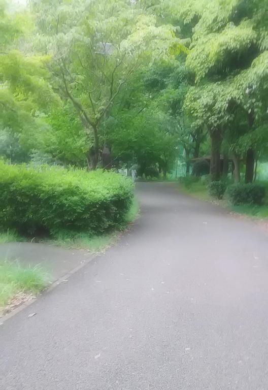 おやすみなさい🌟