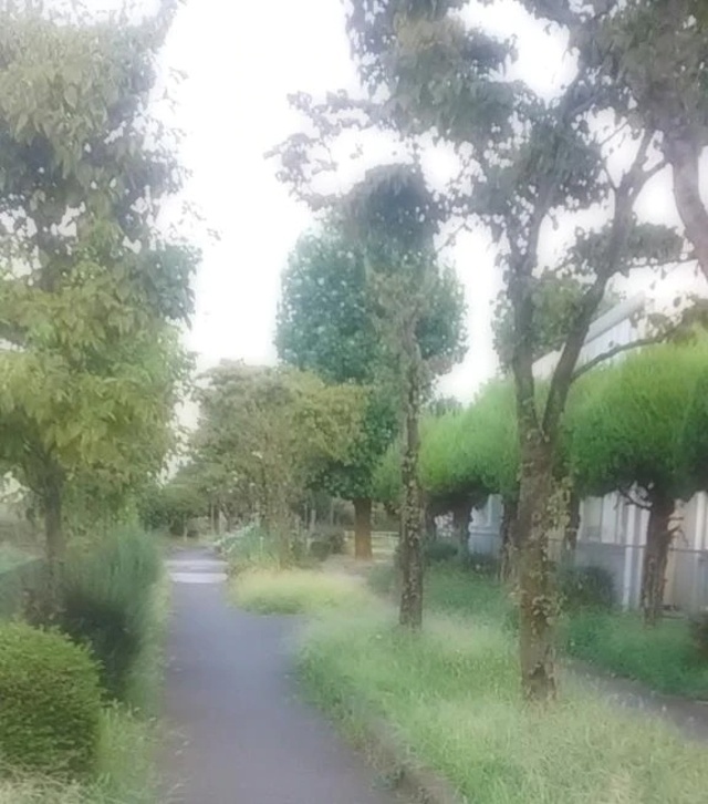 おやすみなさい✨️｜写メ日記｜むつみ｜立川・八王子・三多摩 人妻デリヘル 熟女の風俗最終章 立川店