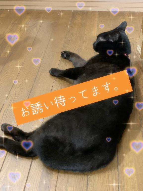 お誘いお待ちしています🤭｜写メ日記｜えつこ｜立川・八王子・三多摩 人妻デリヘル 熟女の風俗最終章 立川店