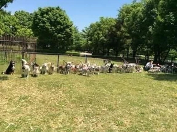 シフト変更😭｜写メ日記｜まいか｜立川・八王子・三多摩 人妻デリヘル 熟女の風俗最終章 立川店