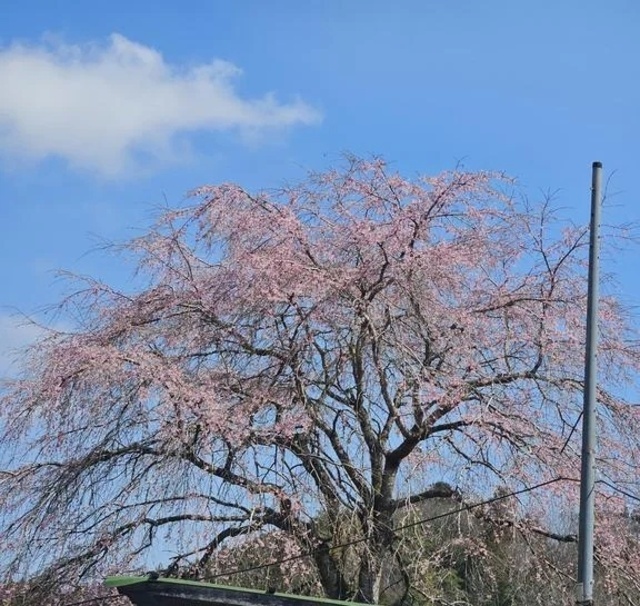 今宵、21時ꔛ🤍