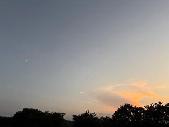 本日も宜しくお願いします♪(๑ᴖ◡ᴖ๑)♪