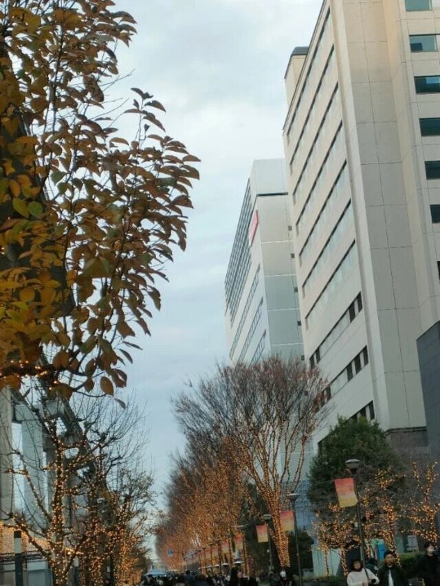 明けましておめでとうございます｜写メ日記｜さちこ｜立川・八王子・三多摩 人妻デリヘル 熟女の風俗最終章 立川店