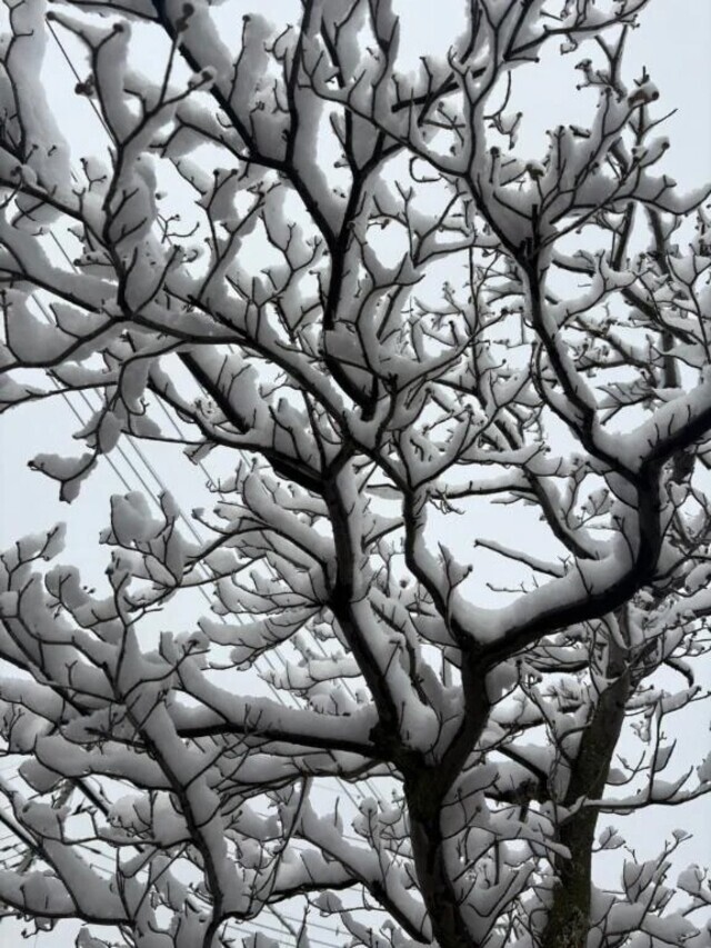 明日｜写メ日記｜さちこ｜立川・八王子・三多摩 人妻デリヘル 熟女の風俗最終章 立川店