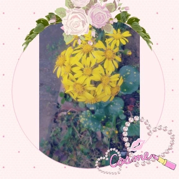 明けましておめでとうございます＼(^_^)／｜写メ日記｜みさお｜立川・八王子・三多摩 人妻デリヘル 熟女の風俗最終章 立川店