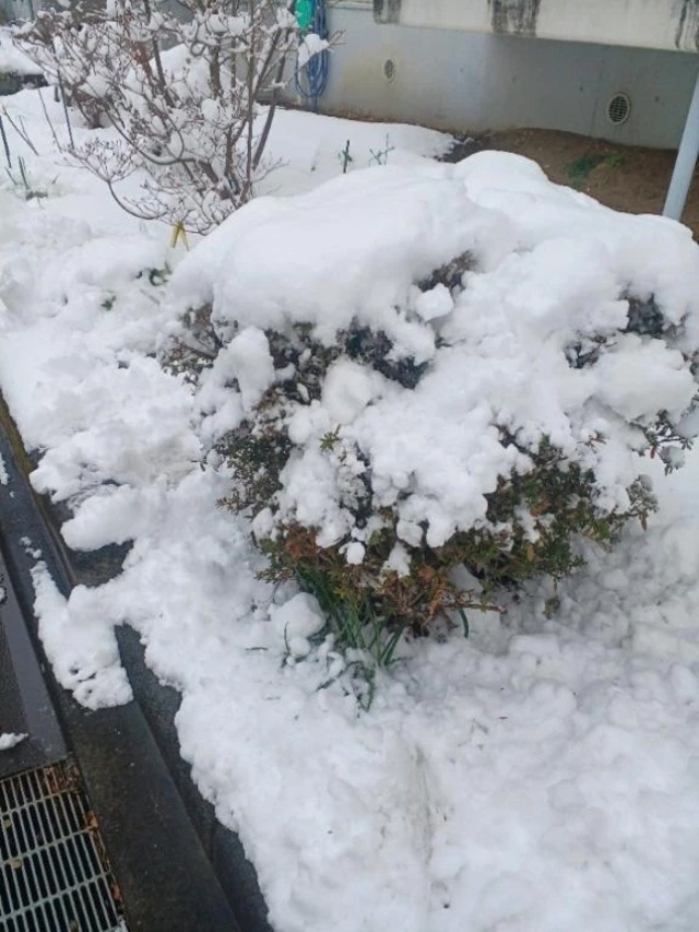 お礼です＼(^_^)／｜写メ日記｜みさお｜立川・八王子・三多摩 人妻デリヘル 熟女の風俗最終章 立川店