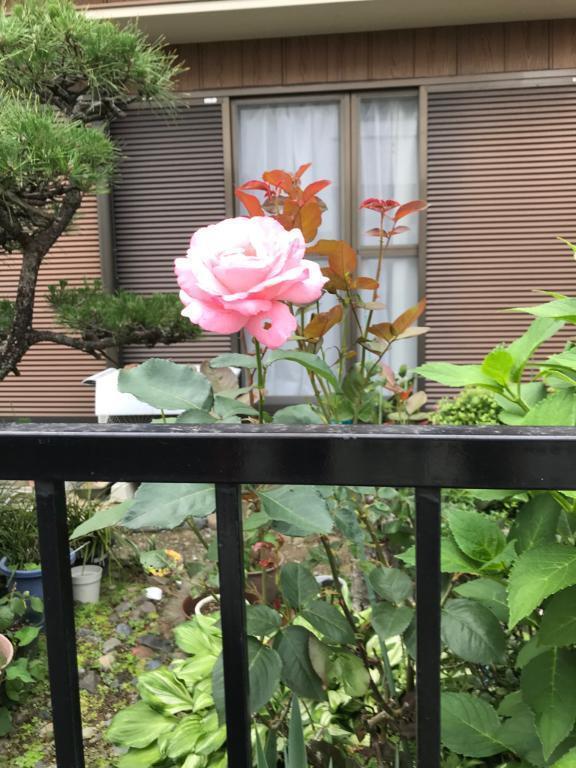 退勤します🌈｜写メ日記｜つばめ｜立川・八王子・三多摩 人妻デリヘル 熟女の風俗最終章 立川店