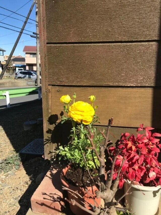 こんばんわ🌙｜写メ日記｜つばめ｜立川・八王子・三多摩 人妻デリヘル 熟女の風俗最終章 立川店