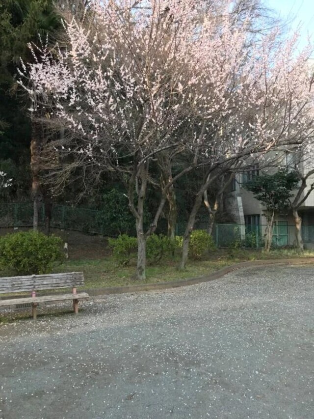 明日行くよー❤️｜写メ日記｜つばめ｜立川・八王子・三多摩 人妻デリヘル 熟女の風俗最終章 立川店