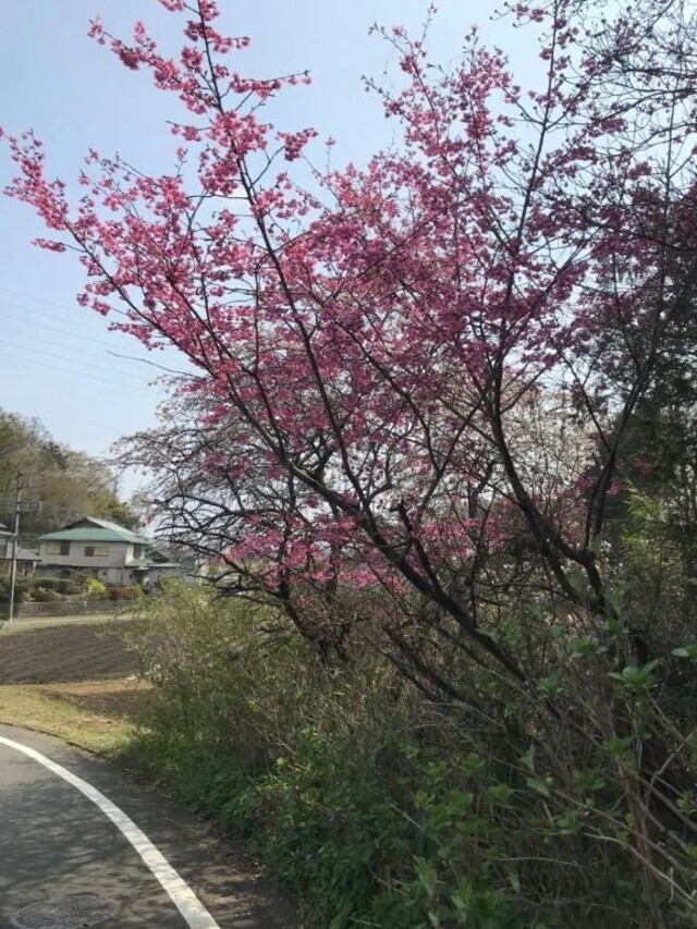 あともう少しで退勤です💦