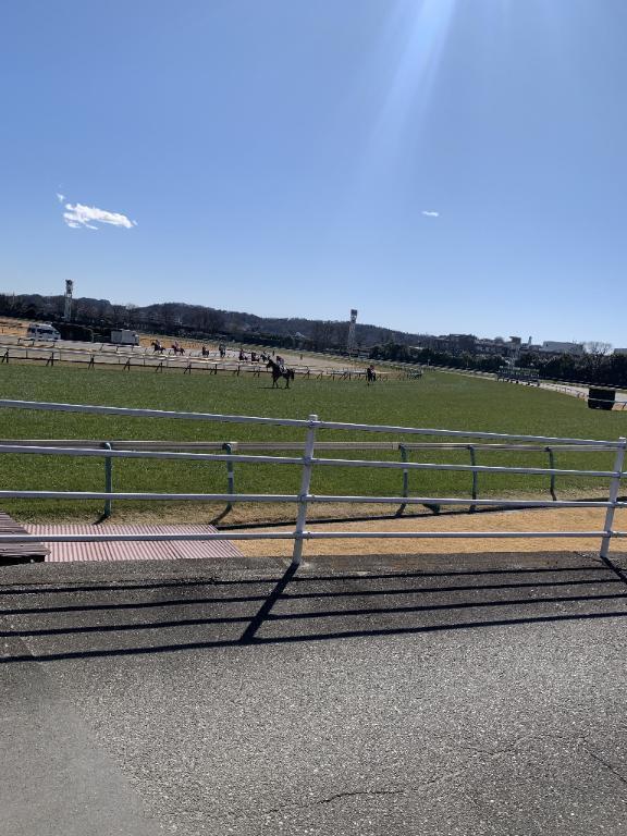 今度の土日が怖い〜｜写メ日記｜さきな｜立川・八王子・三多摩 人妻デリヘル 熟女の風俗最終章 立川店