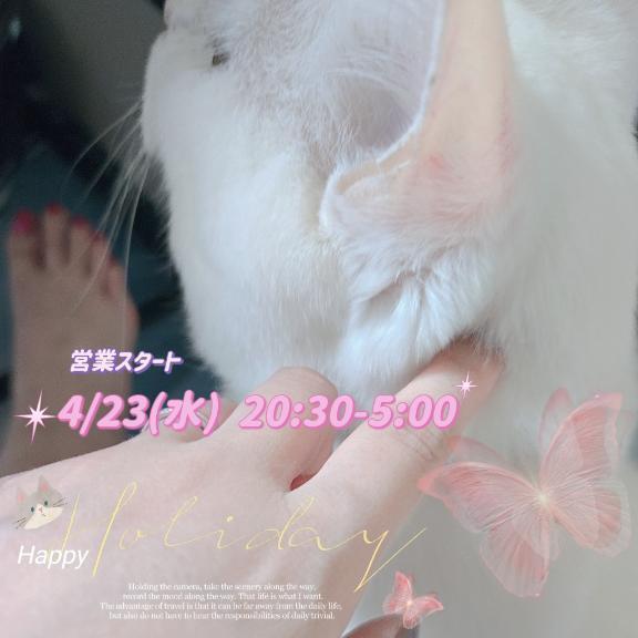 本日出勤出来ます❤️｜写メ日記｜ねこ｜立川・八王子・三多摩 人妻デリヘル 熟女の風俗最終章 立川店