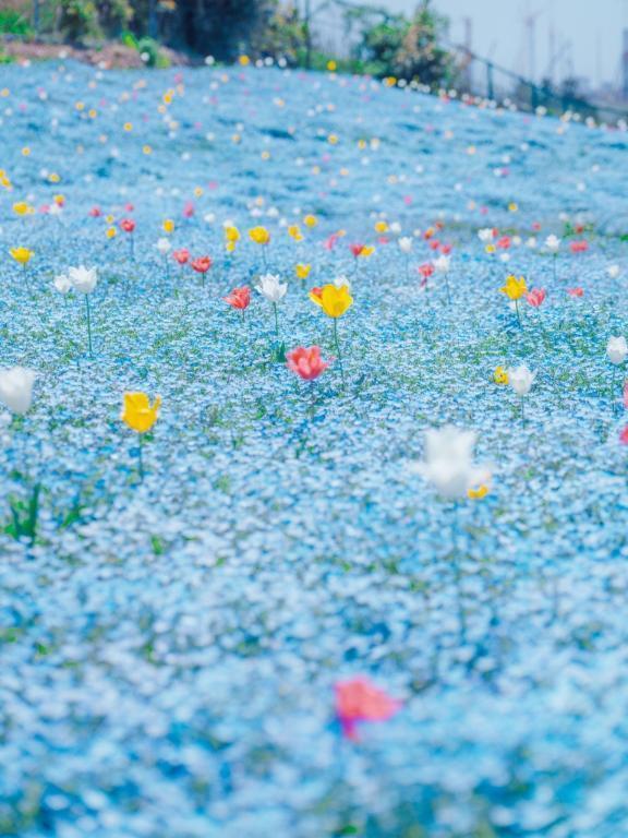 【ありがとうございますの巻】｜写メ日記｜まるこ｜立川・八王子・三多摩 人妻デリヘル 熟女の風俗最終章 立川店
