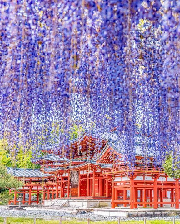 【今すぐ逢いにいけるよの巻】｜写メ日記｜まるこ｜立川・八王子・三多摩 人妻デリヘル 熟女の風俗最終章 立川店