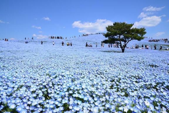 【出勤するの巻き】｜写メ日記｜まるこ｜立川・八王子・三多摩 人妻デリヘル 熟女の風俗最終章 立川店