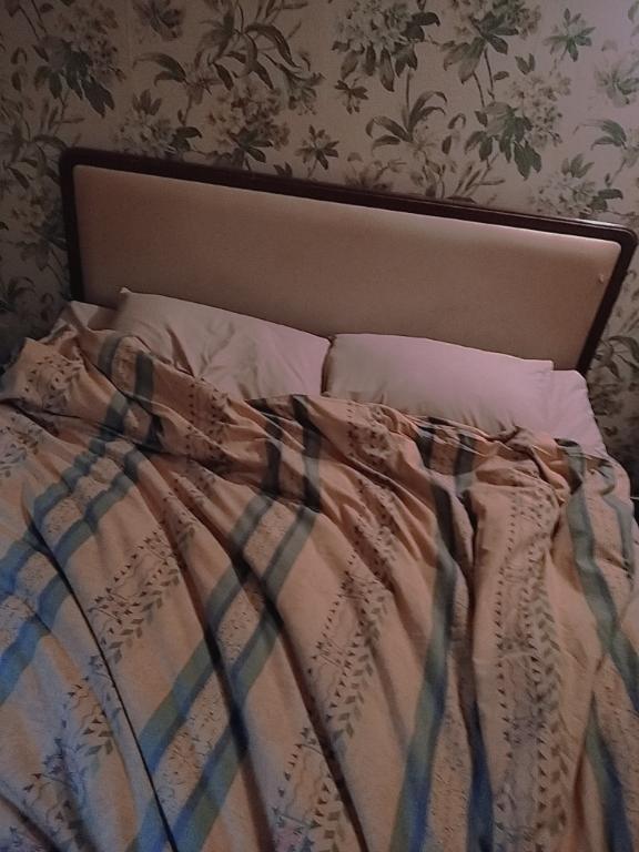 ありがとうございました✨️｜写メ日記｜ありさ｜立川・八王子・三多摩 人妻デリヘル 熟女の風俗最終章 立川店